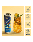 Domino zero proof elixir can with a cocktail on a yellow background