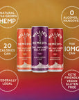 Willie's Remedy+ 10mg THC Infused Seltzer Variety 12-Pack