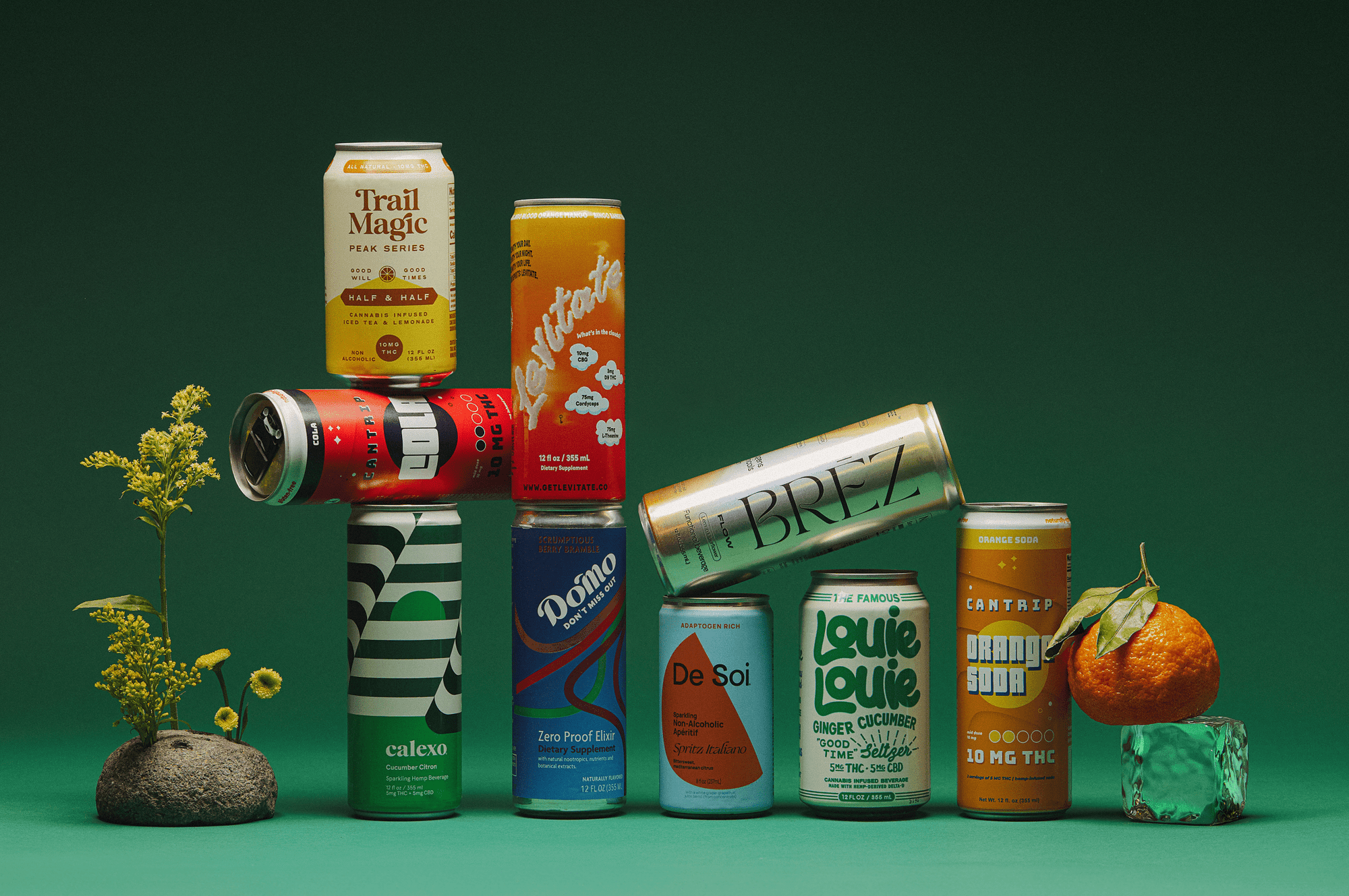 The Power Of Adaptogenic and Botanical Beverage: Beyond Cannabev - Buzz by Boisson