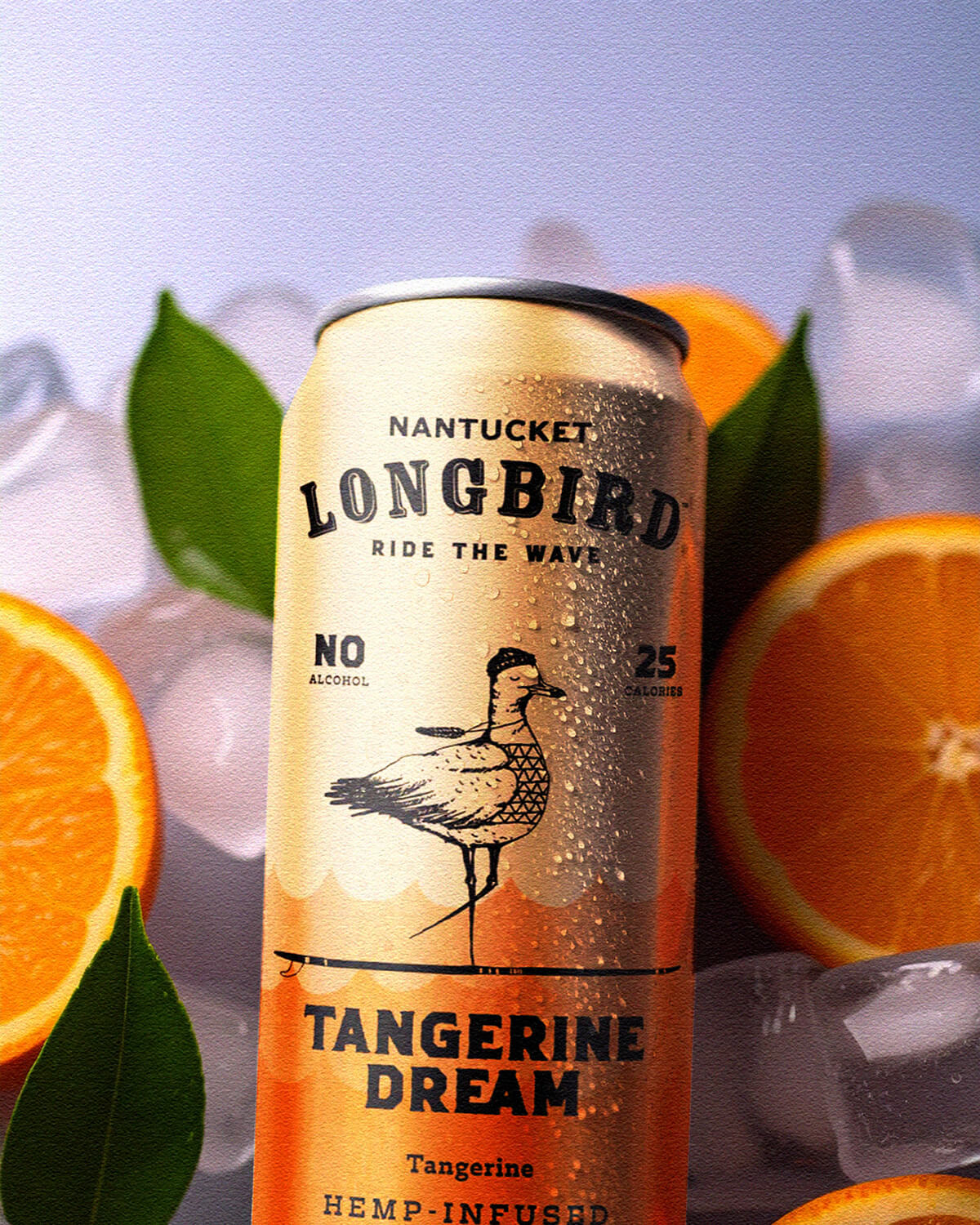 A can of Longbird Tangerine Dream in front of ice and tangerines