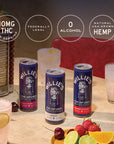 Willie's Remedy+ 10mg THC Infused Seltzer Variety Pack